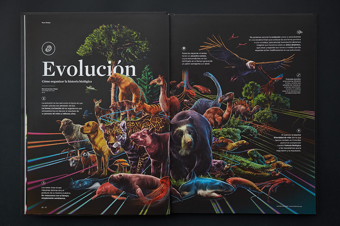 Puntoaparte - Ilustración vs Texto