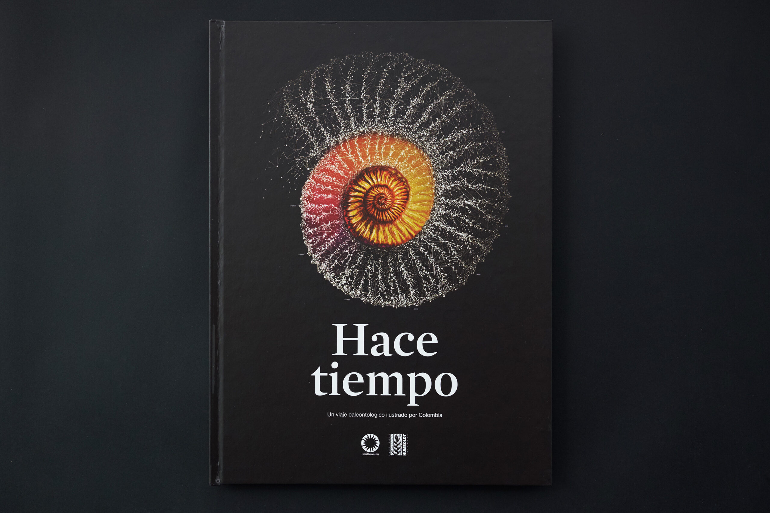 Puntoaparte - Proceso